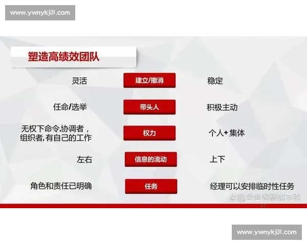 打造高效协作文化提升团队凝聚力与整体执行力的策略